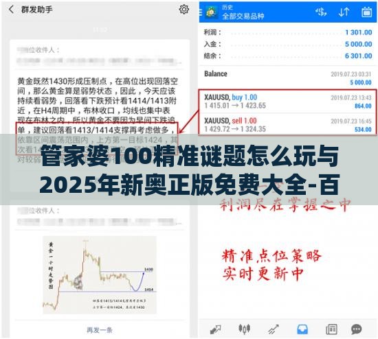 管家婆100精准谜题怎么玩与2025年新奥正版免费大全-百度清晰释义、专家解析解释与落实​,识别虚假的面具