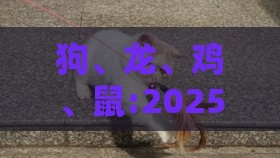 狗、龙、鸡、鼠:2025年天天免费资料百度中文,抵制欺诈的假广告圈-完整释义、专家解析解释与落实​