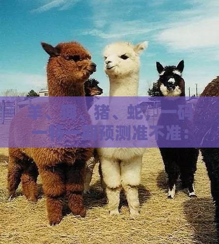 羊、狗、猪、蛇，一码一特一期预测准不准：大三巴资料大全最全或澳门一肖一特一中往期预测-前沿释义、专家解读解释与落实​,拒绝空洞无物承诺
