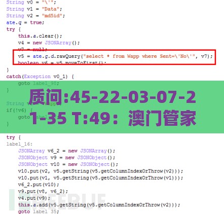 质问:45-22-03-07-21-35 T:49：澳门管家婆100准谜语和2025年天天免费资料百度免费版,小心夸大其辞-升级分析、解释与落实