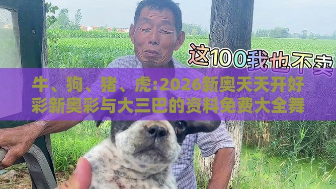 牛、狗、猪、虎:2026新奥天天开好彩新奥彩与大三巴的资料免费大全舞蹈女驸马基础释义、解释与落实-小心不实的假包装惑